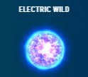 ELECTRIC WILD