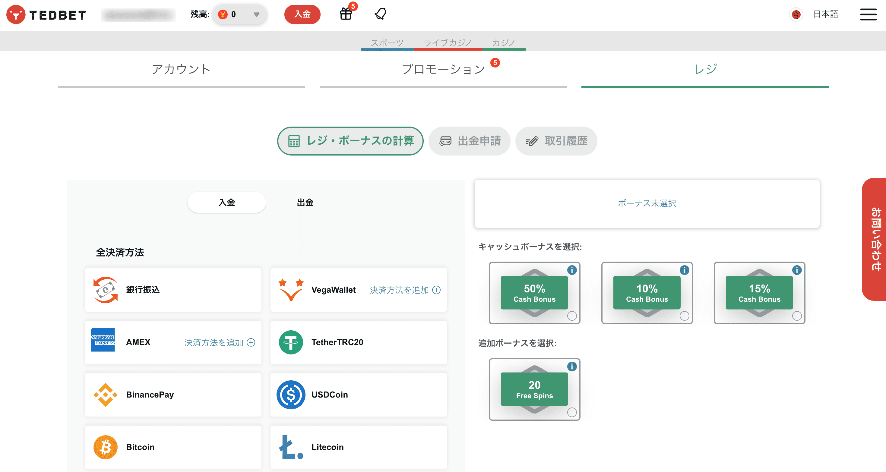 テッドベットの入金画面