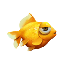 Goldfish