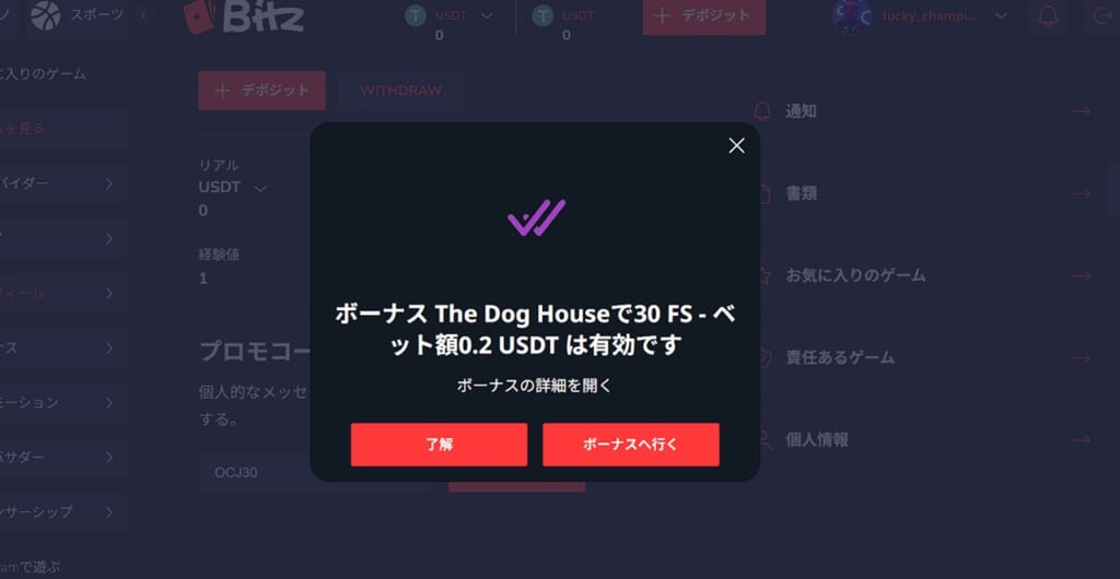 ボーナスの詳細を開く