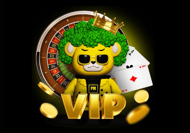 PM VIP