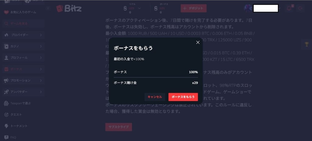 ボーナスをもらう
